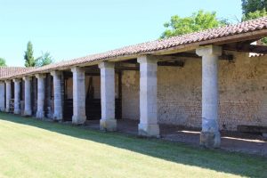 Chateau-de-Balzac-Charente-Colonnades-17eme-2020