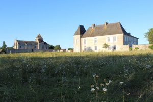 Château de Balzac et église st Martin prairie Charente (2)